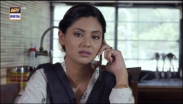 Baby Baji - Episode 52 - 17th July 2023